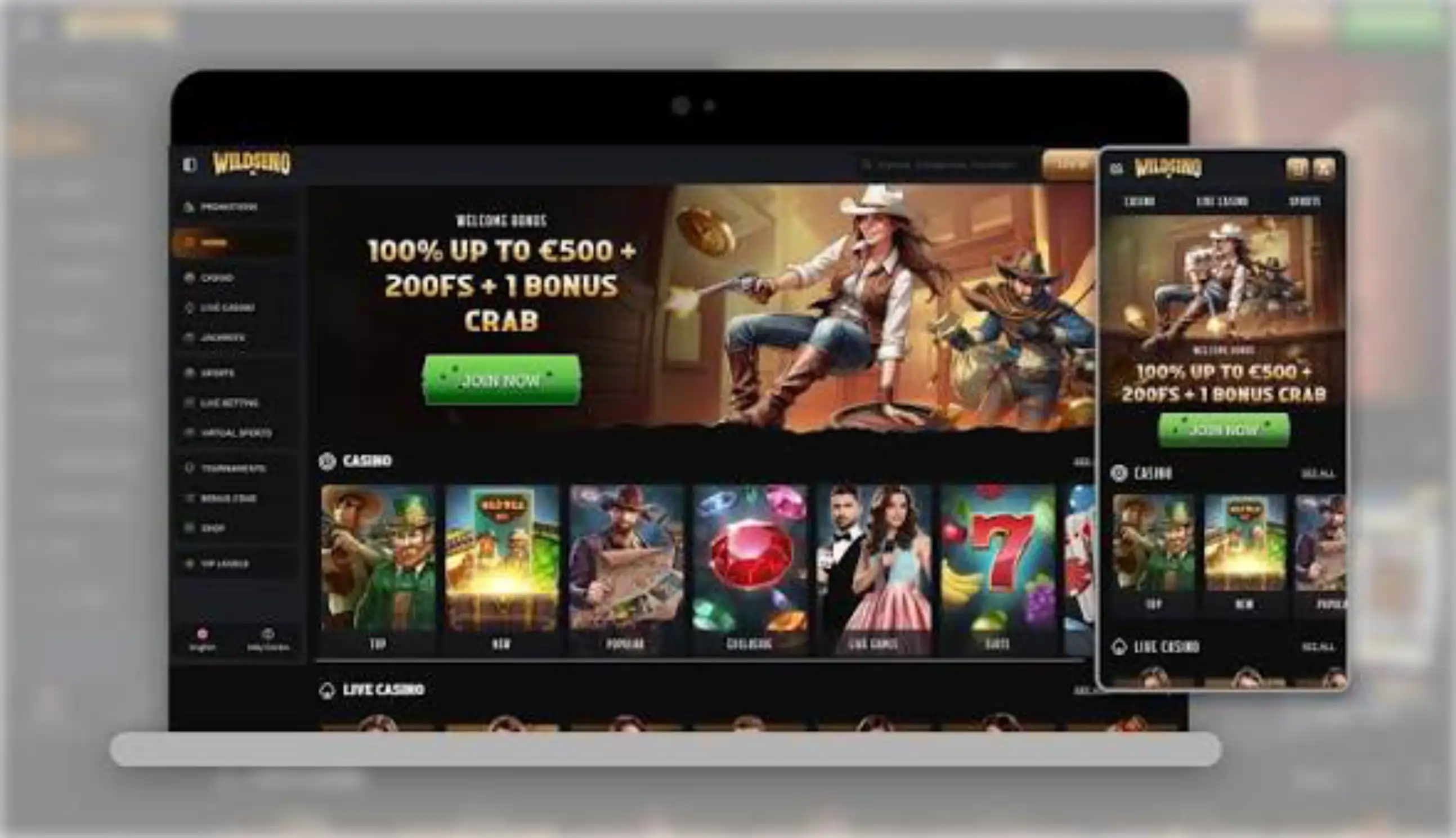 Capture d'écran de l'app Wildsino Casino